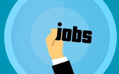 Offre d’emploi – Conseiller(ère) en environnement – Constitution d’une réserve de recrutement