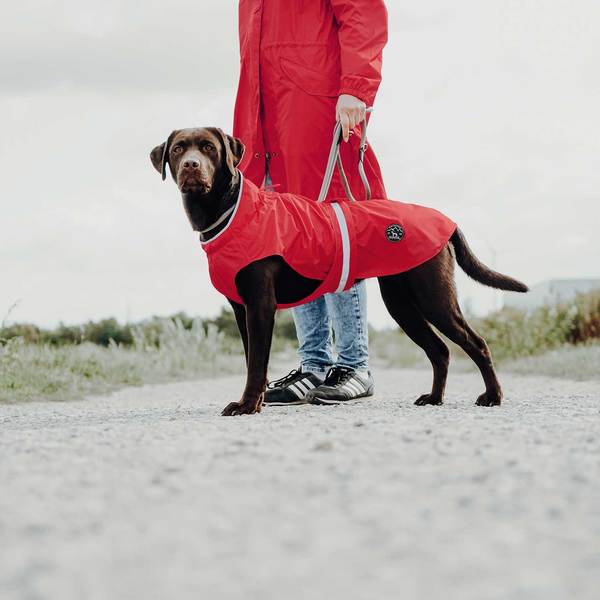 Regenjas voor grotere honden Uppsala Rain Hunter – Herbafix
