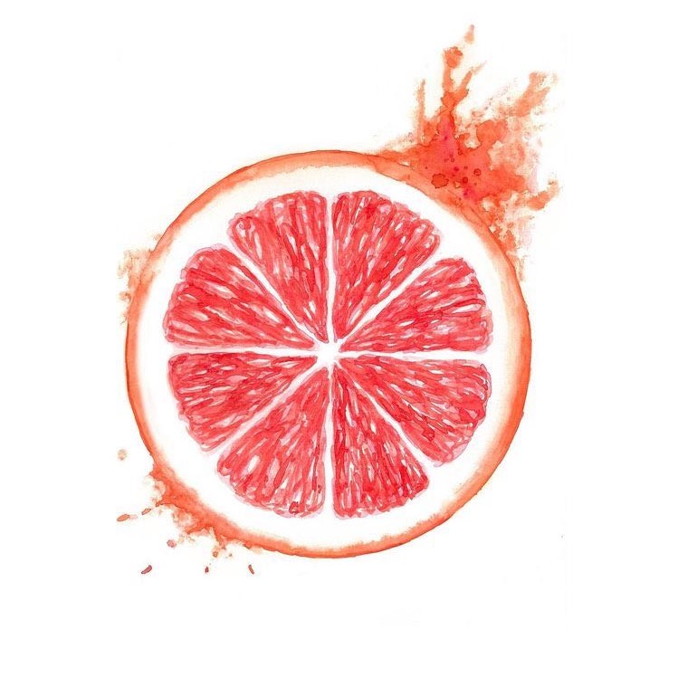 pamplemousse article 2