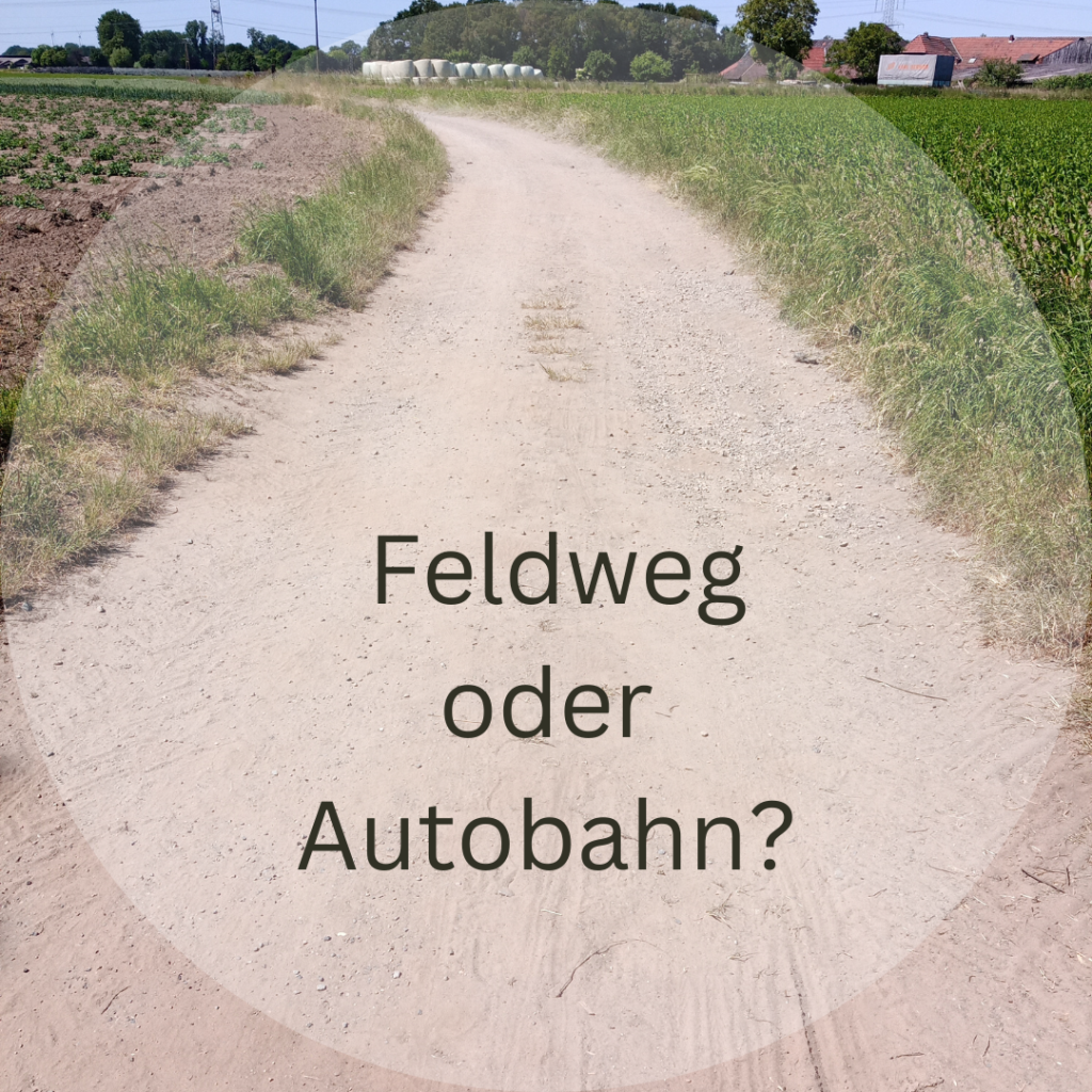 Feldwege. Auf dem Bild ist ein Feldweg zu sehen.