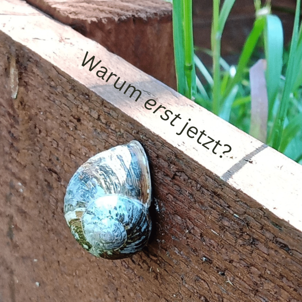 Auf dem Bild ist eine Schnecke zu sehen und der Satz: Warum erst jetzt?