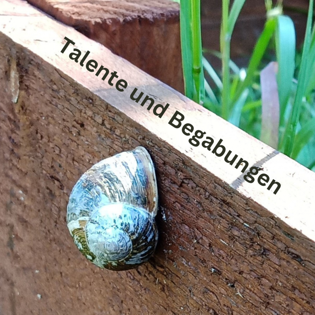 Auf dem Bild befindet sich eine Schnecke und die Worte Talente und Begabungen. 