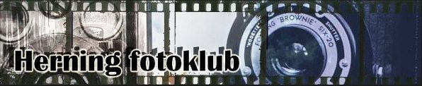 Herning Fotoklub logo