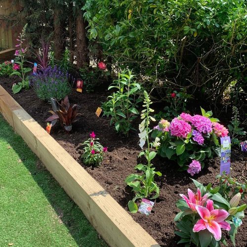 Garden Maintenance