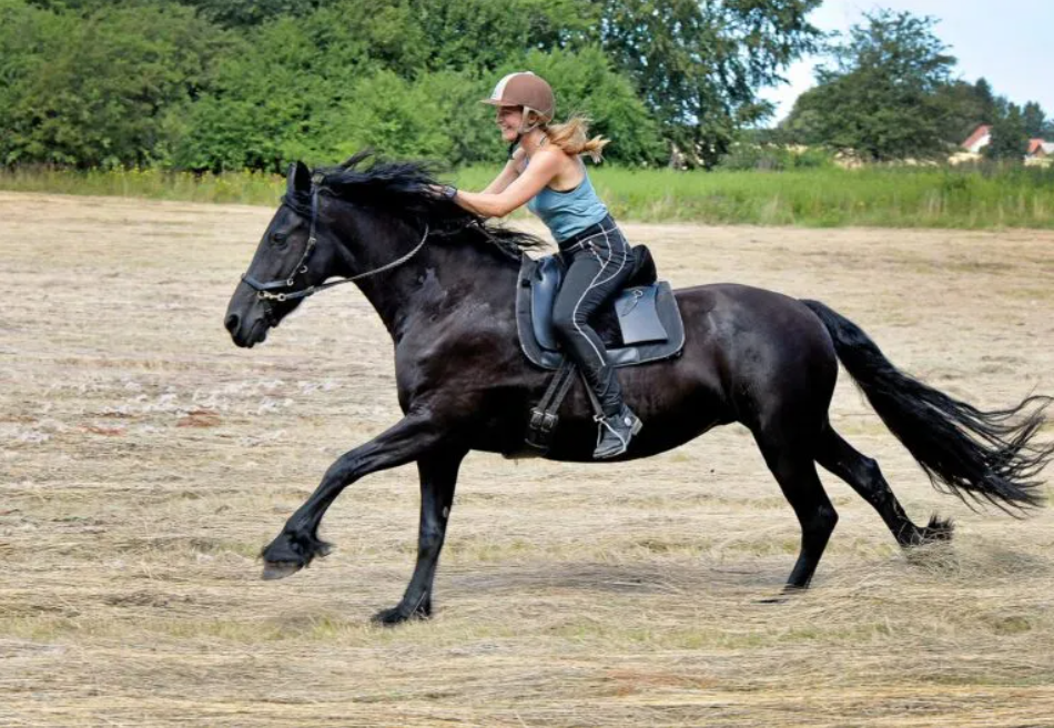 En rytter på sin sorte hest i galop henover marken