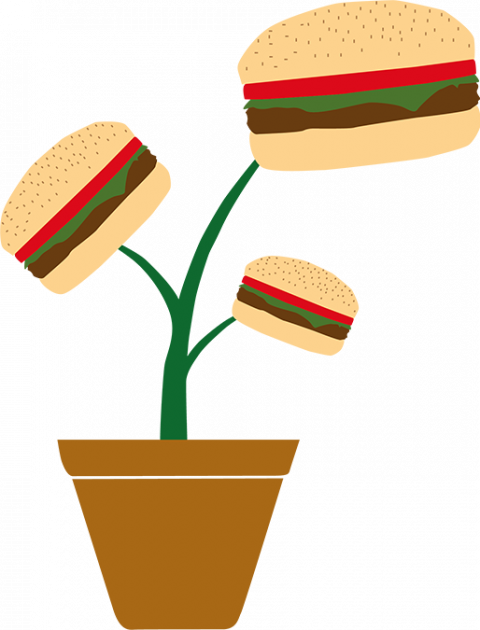 plantaardige hamburger new