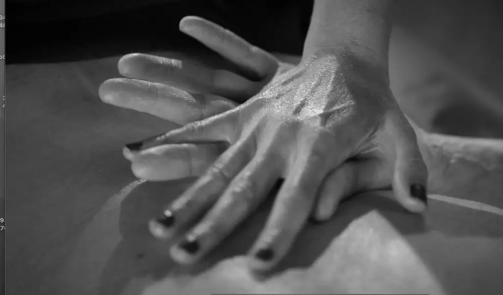 Lomi Lomi massage therapie, Massagetherapie