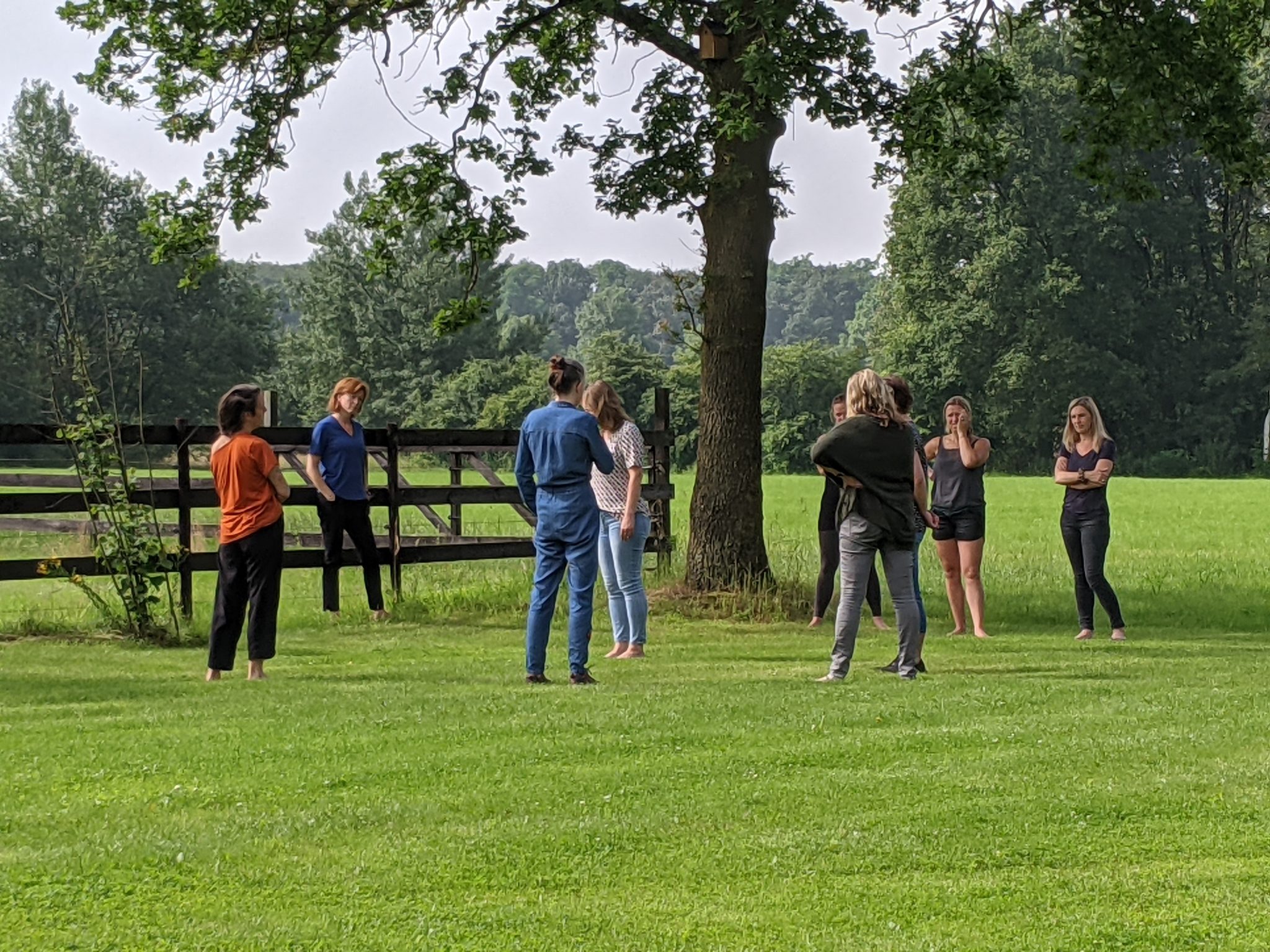 Opstellingen – Het Vrije InZicht – Michelle Martens