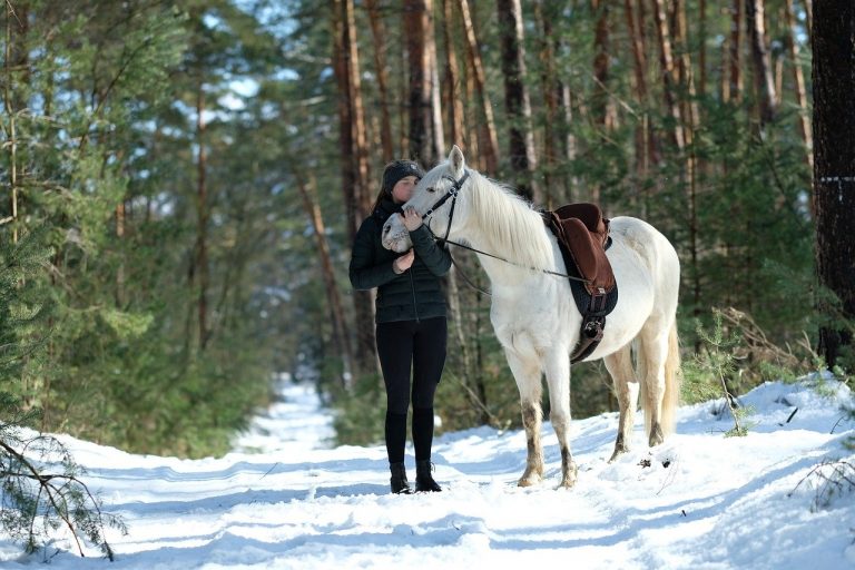 Kilpaillaanko hevosalalla siitä, kuka kärsii eniten? Osa 1. 