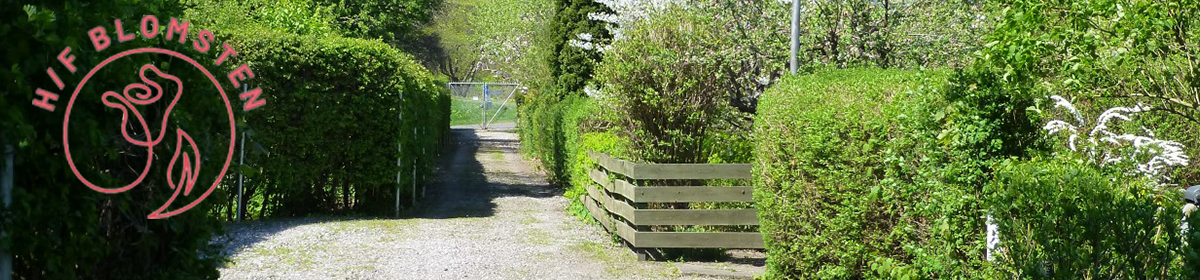 HF Blomsten
