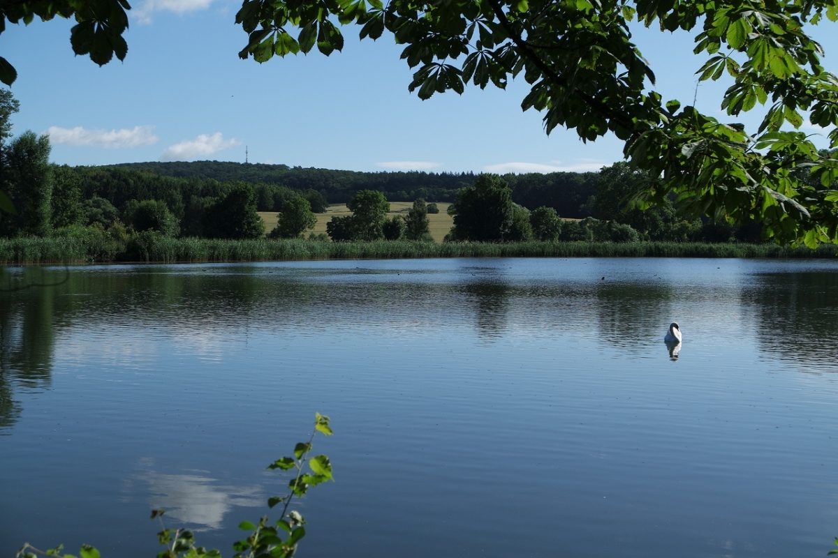 Der Mariensee