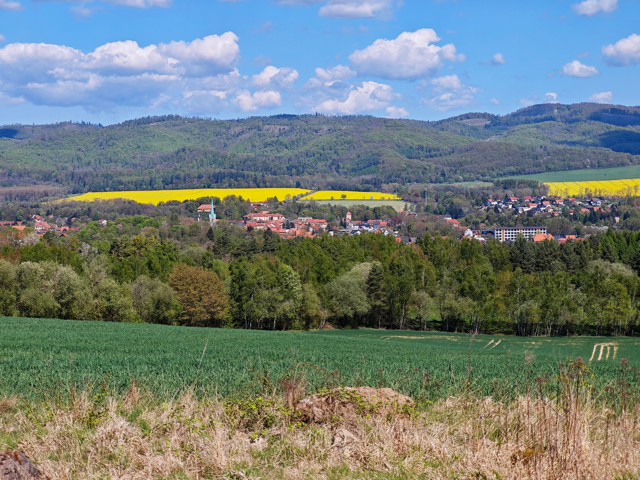Blick nach Ellrich