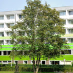 Reha-Klinik Wiesengrund