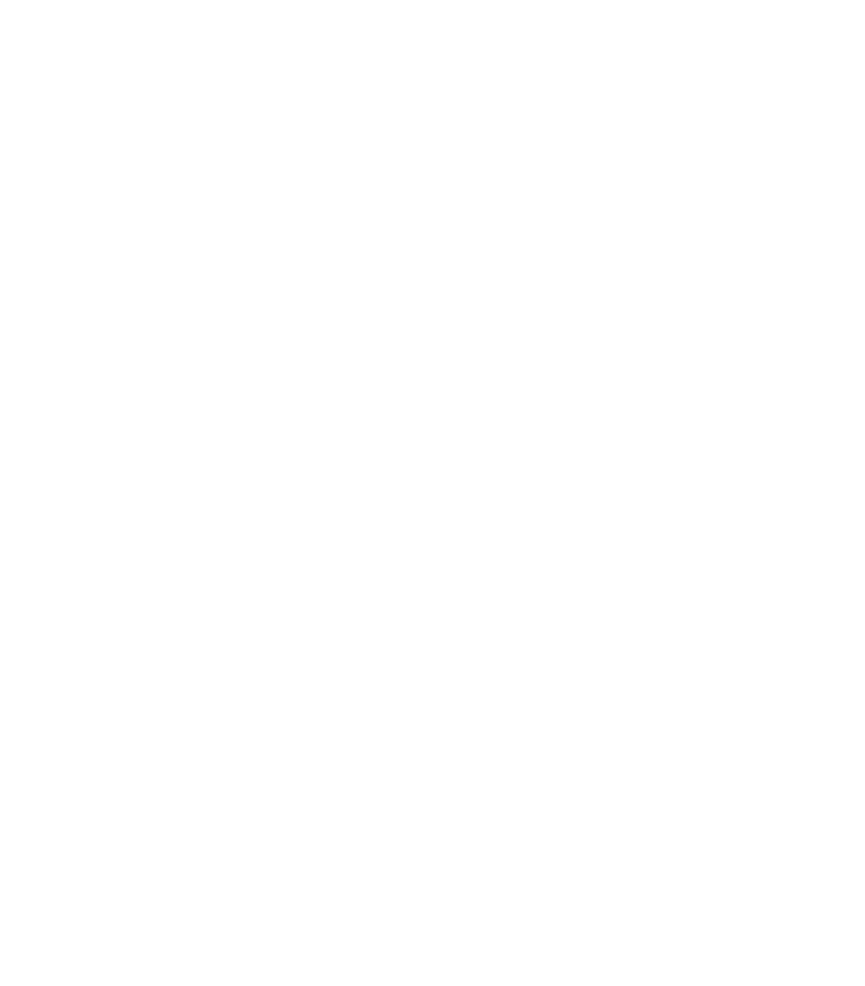 Slongs