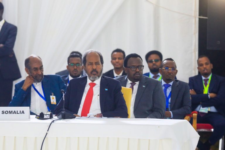 Somalia rejects mediation efforts with Ethiopia over port deal