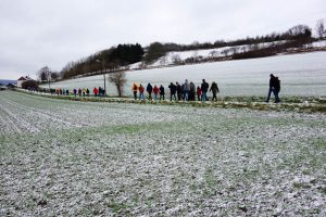 Im Gänsemarsch auf dem Idtberg