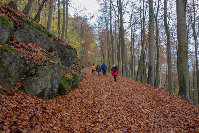 Auf dem Kantsteinweg