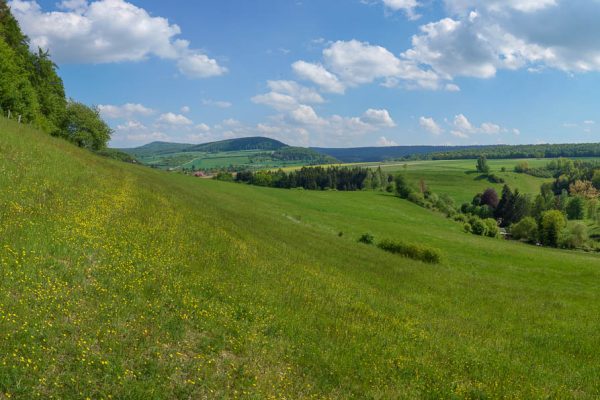 Naturschutzgebiet Idtberg bei Kaierde