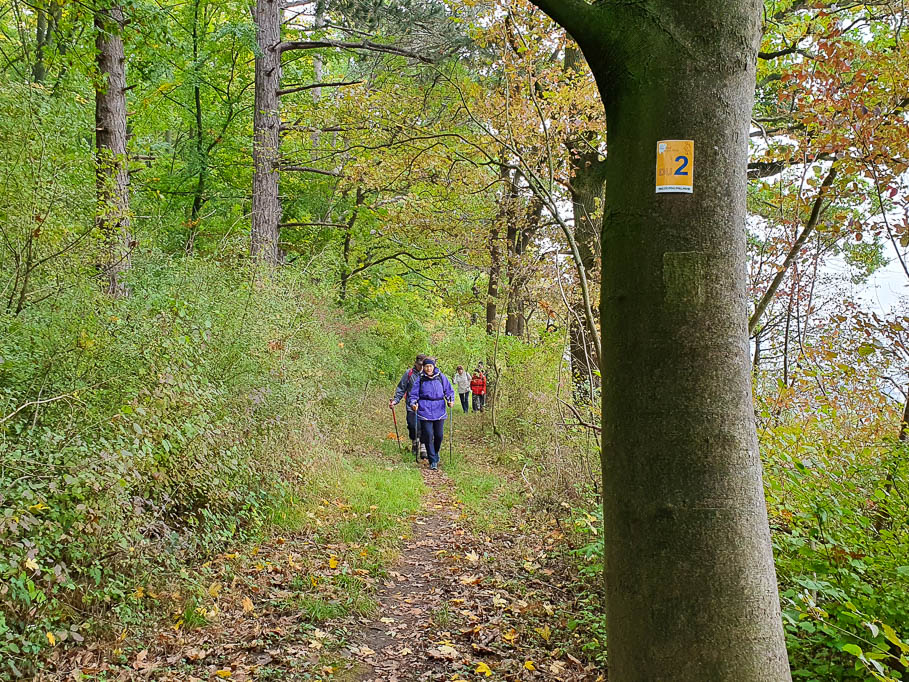 Der Pottlandweg ist gut ausgeschildert