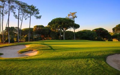 Paketen Birdie och Eagle