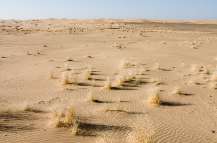 Desierto de Karakum