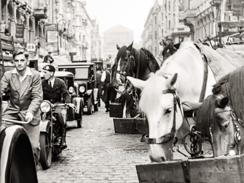 Pferde am Markt in Berlin 1930