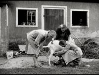 Arbeitersiedlung Essen 1937