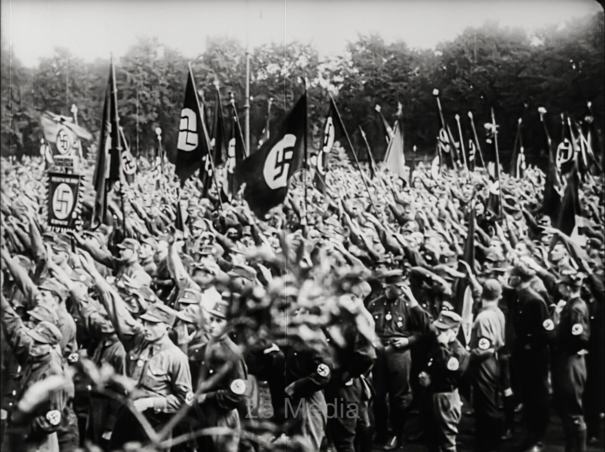 NSDAP Parteitag Nürnberg 1927, Uniformierte