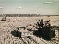 Getreideernte Sowjetunion 1960