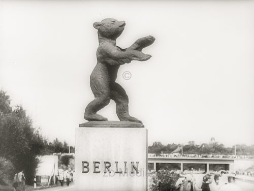Berliner Bär 1961