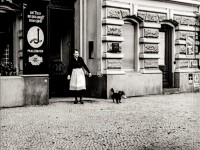Frau mit Hund in Berlin 1930