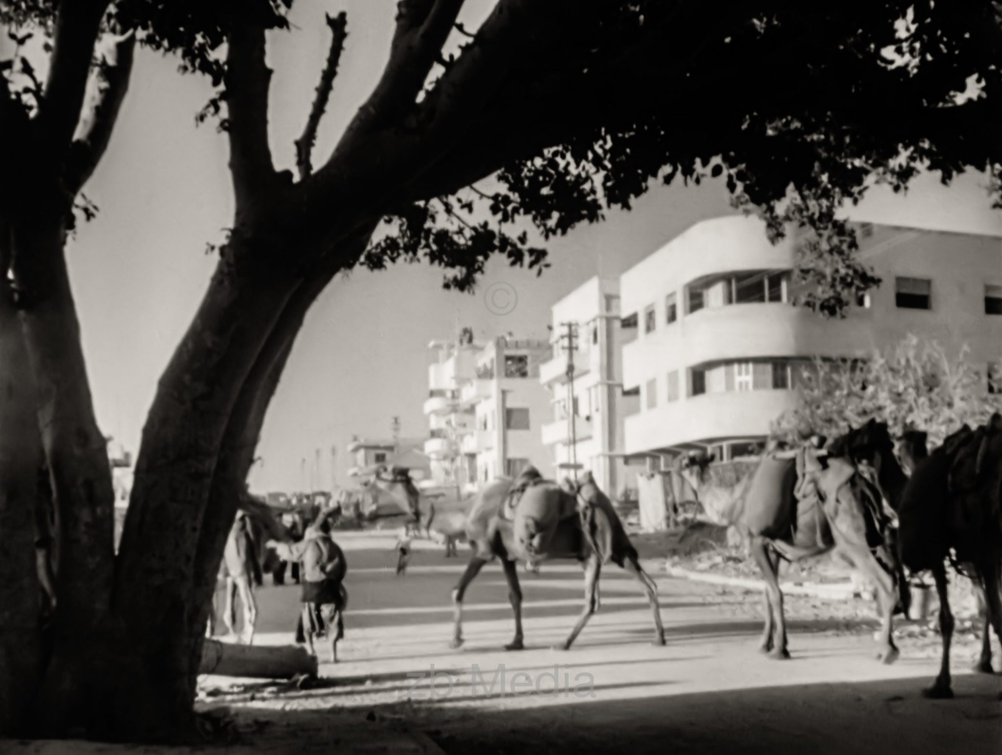 Tel Aviv 1937