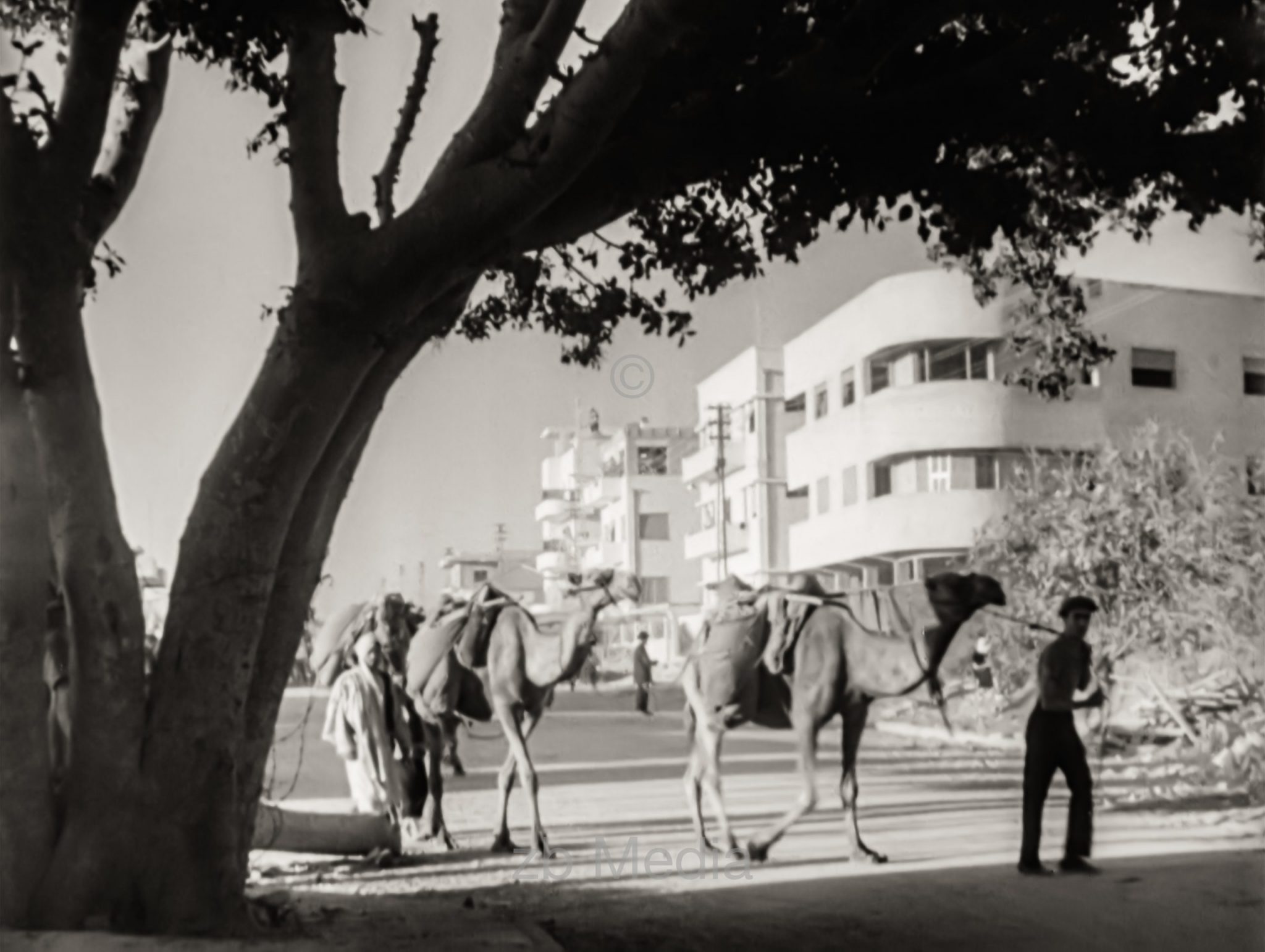 Tel Aviv 1937