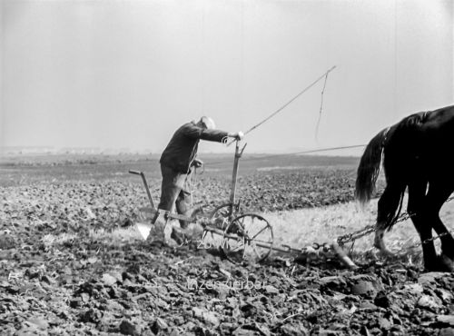 Pferdegespann mit Pflug in Deutschland 1937