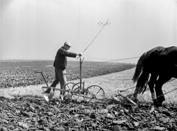 Pferdegespann mit Pflug in Deutschland 1937