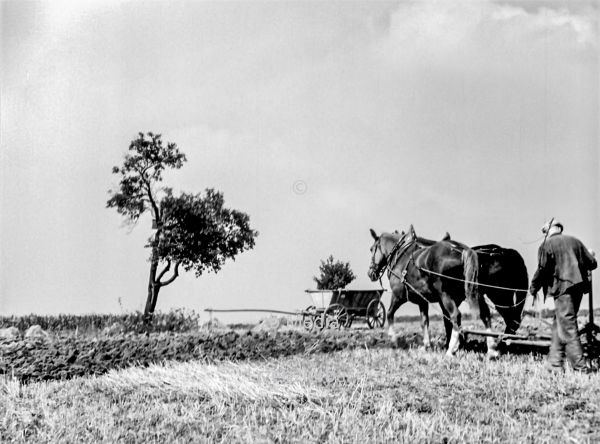 Pferdegespann mit Pflug in Deutschland 1937