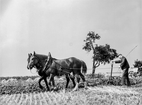 Pferdegespann mit Pflug in Deutschland 1937