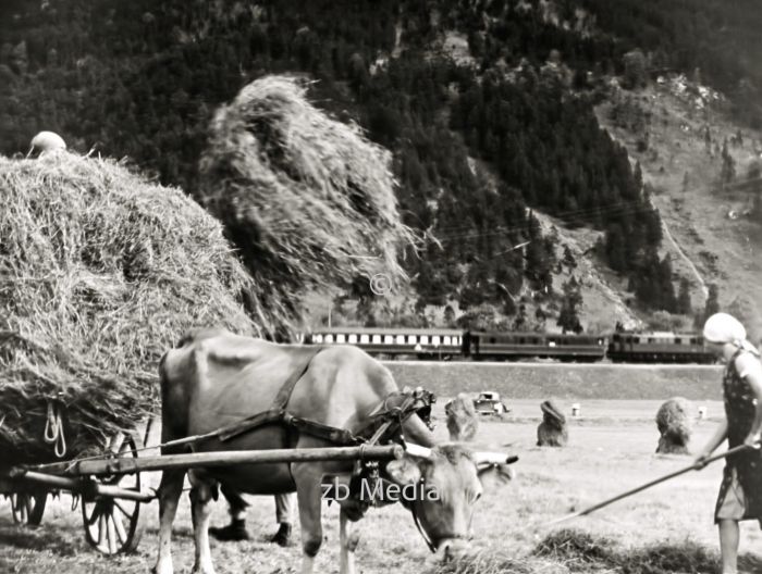 Heuernte in Oberbayern 1937