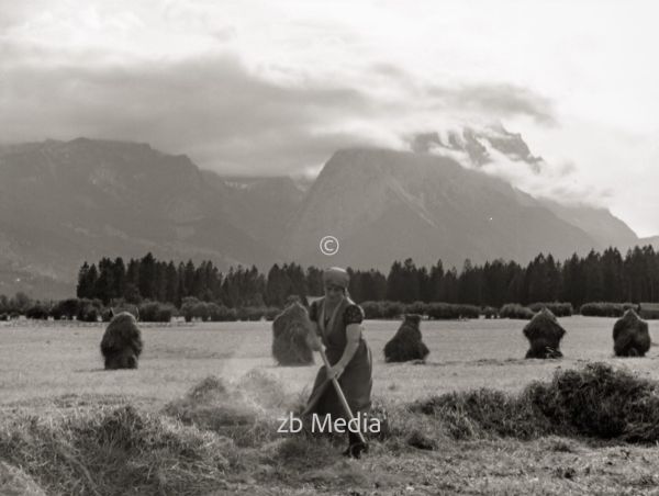 Heuernte in Oberbayern 1937