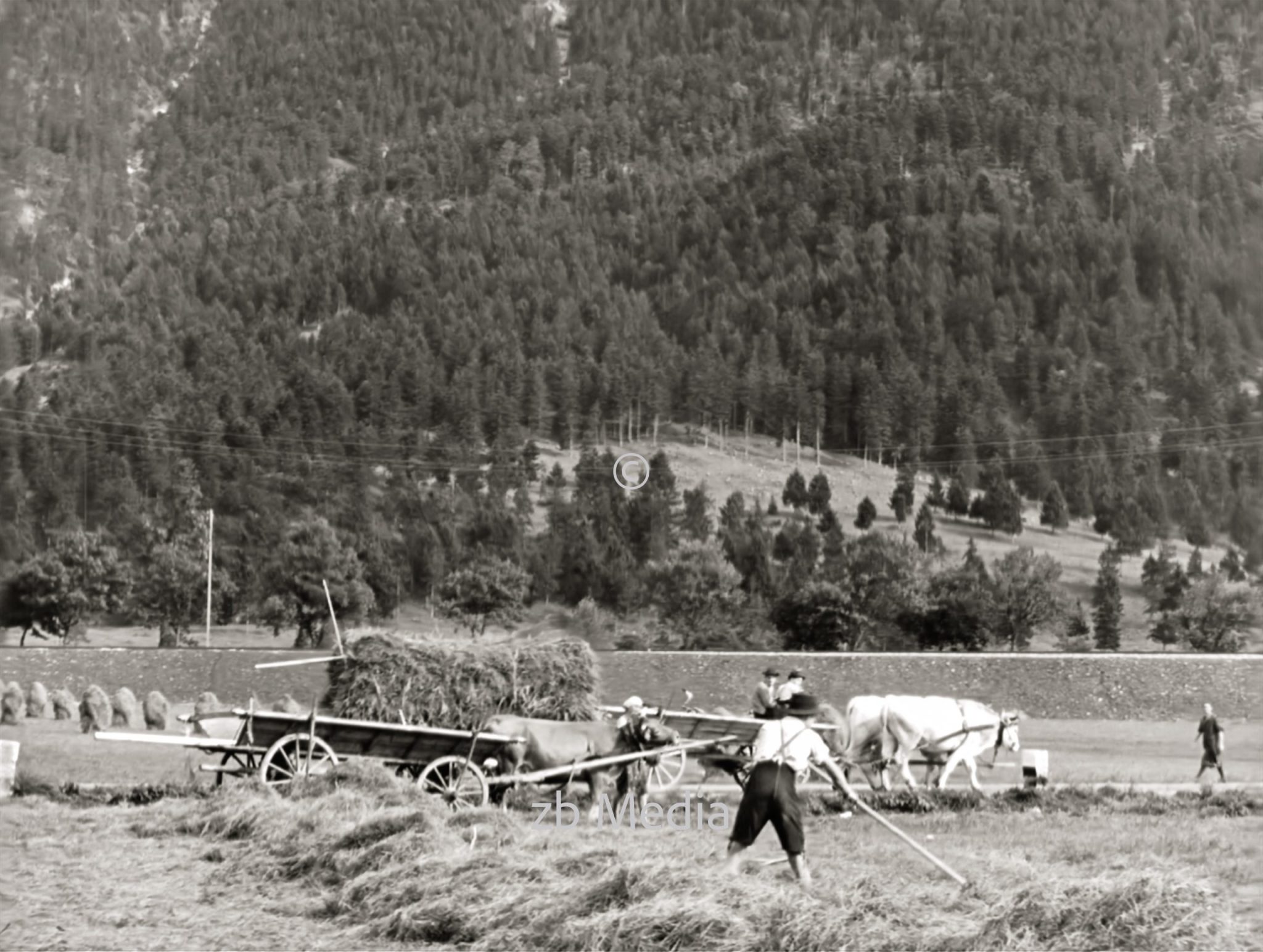 Heuernte in Oberbayern 1937