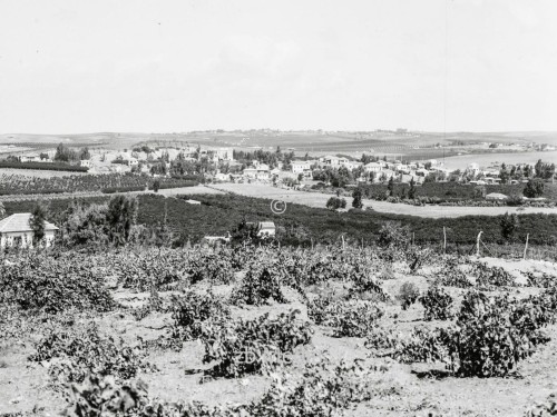 Jüdische Kolonien auf Sharon. Ramat Gan. Nördlich von Tel-Aviv