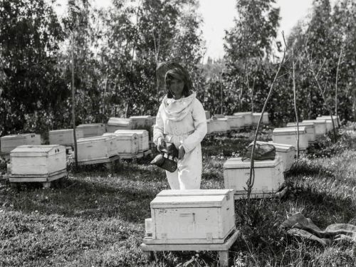 Imkerin in jüdischer Farm in Palästina um 1935