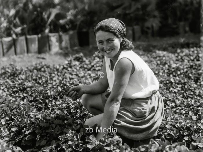 Landwirtschaftliche Ausbildungsschule für Mädchen in Palästina 1935