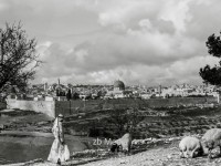 Blick auf Jerusalem um 1930