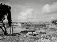 Blick auf Jerusalem um 1930