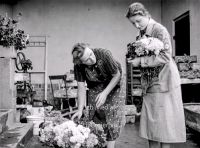 NS Frauen helfen bei Blumenernte 1937