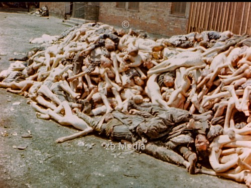 Leichen im KZ Dachau 1945