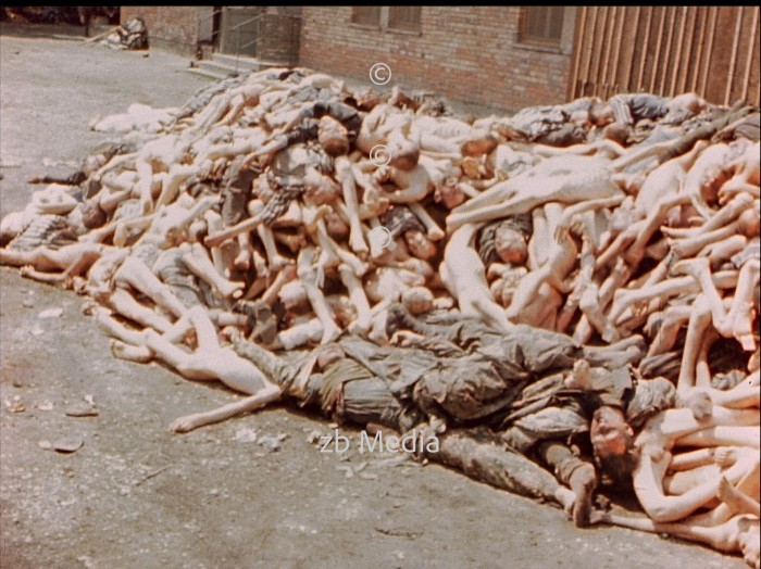 Leichen im KZ Dachau 1945