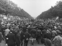 Befreiung von Paris 1944 Menschenmenge