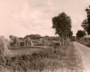 Anloo,Schipborgerweg.jpg